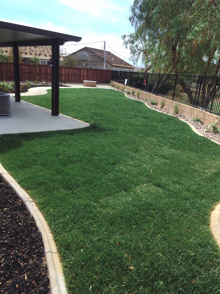 Residential Concrete Flatwork Back Yard Renovation — photo 9